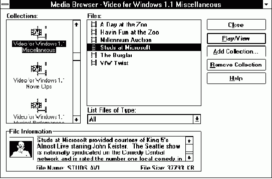  Microsoft Video for Windows 